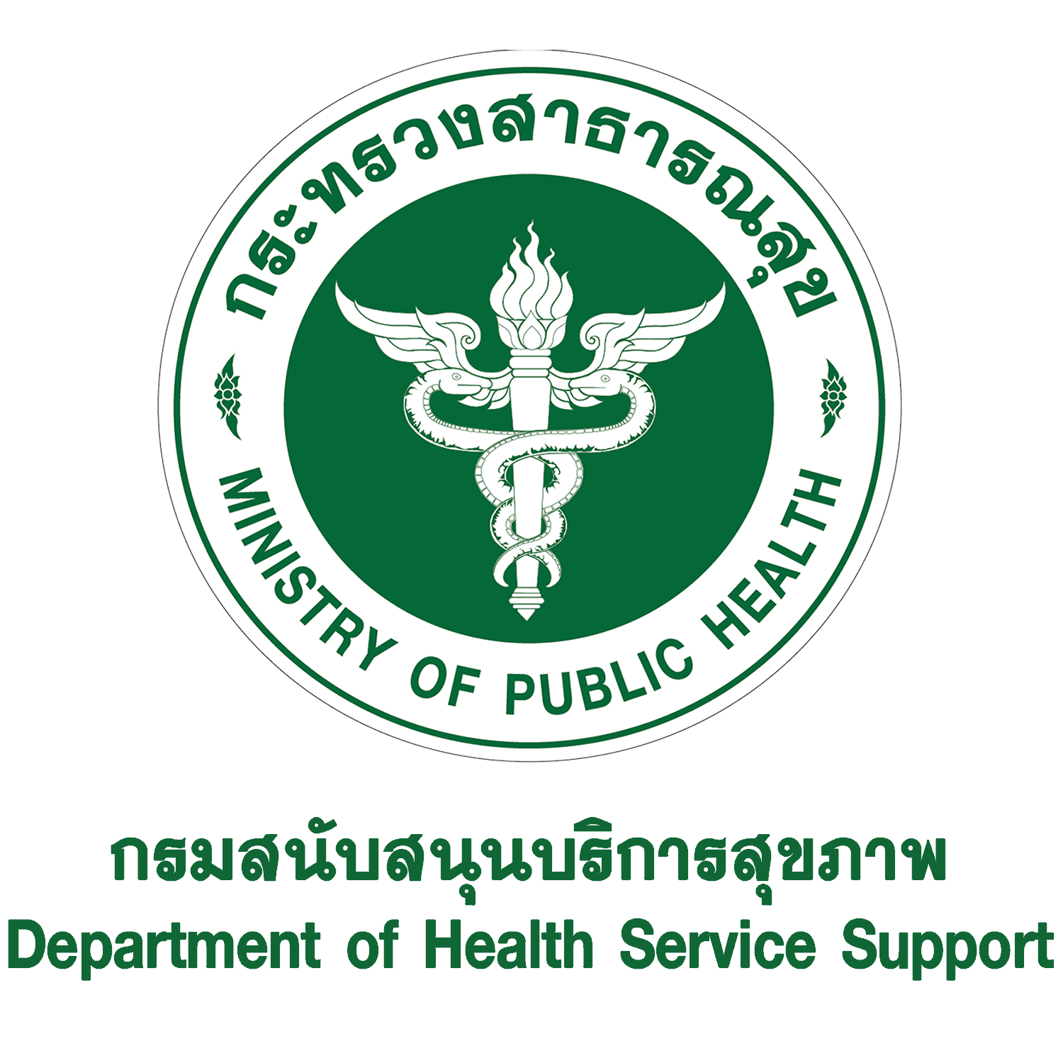 Health Logo